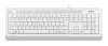 Клавиатура A4 Fstyler FK10 белый/серый USB Multimedia